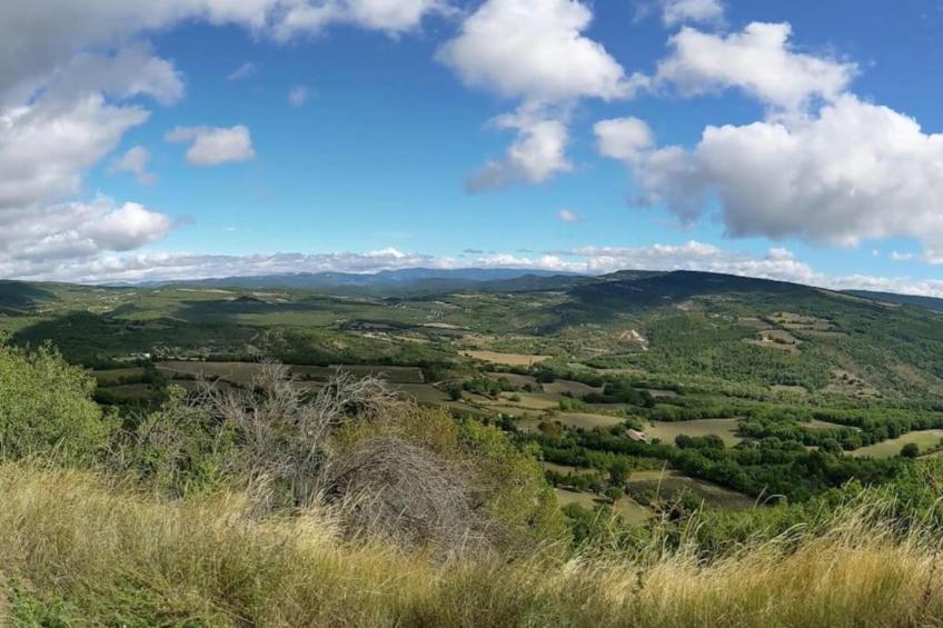 la petite Colline - foto 34