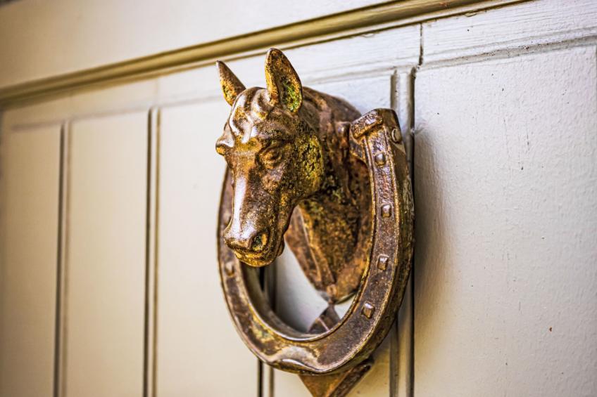 Les Jonquilles - foto 26