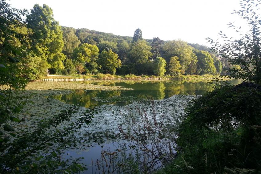 Versailles in Ruhe - foto 30