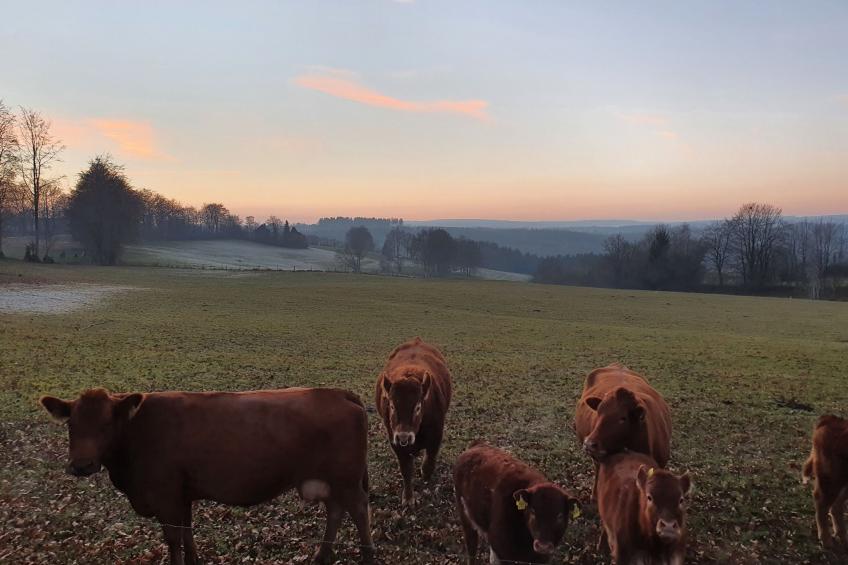 Eifel Oase - foto 24