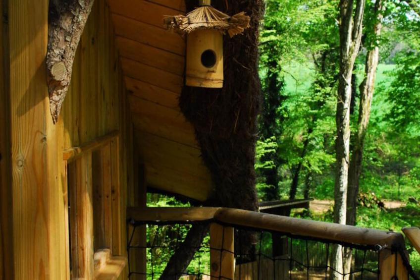 Parc de la Belle - foto 14