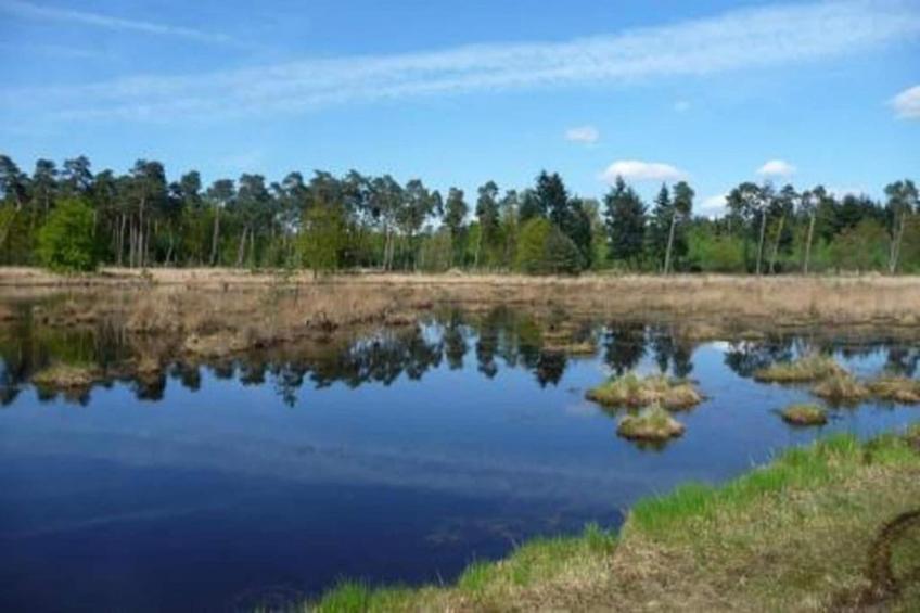 Parc de Kievit - foto 34