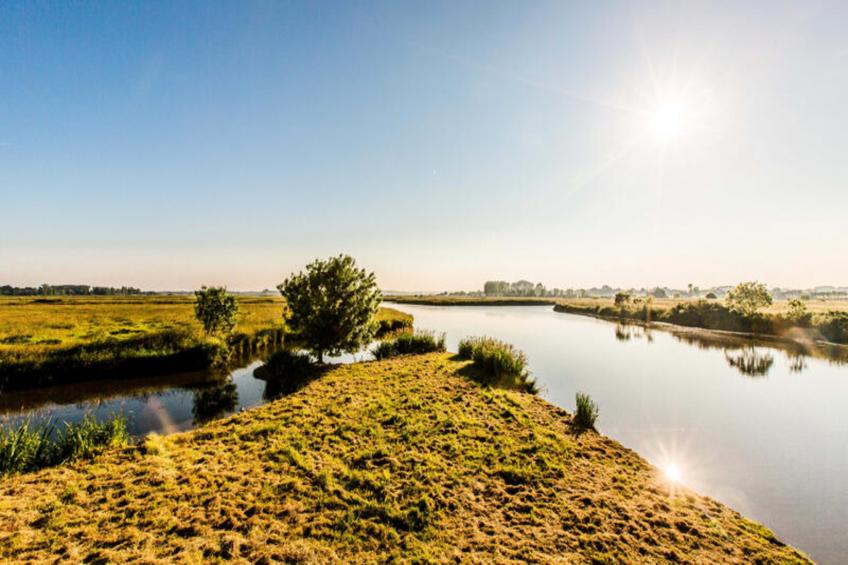 Maison à Saint-Gilles-Croix-de-Vie - foto 20