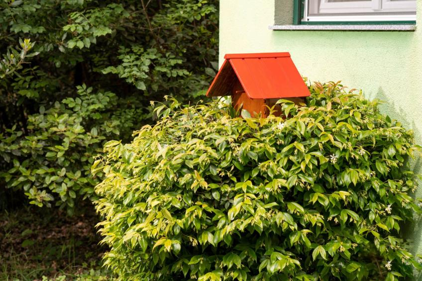 Tiny house Laurel - 70 Meter vom Strand entfernt - foto 54