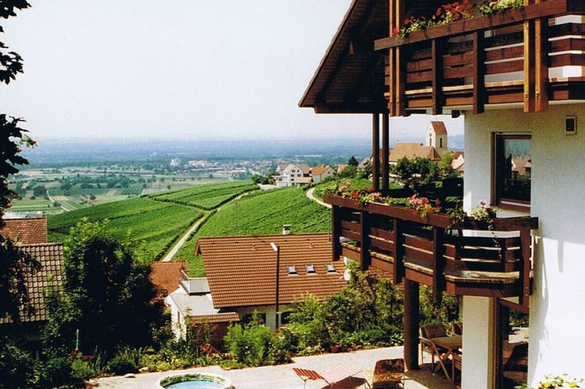 19913