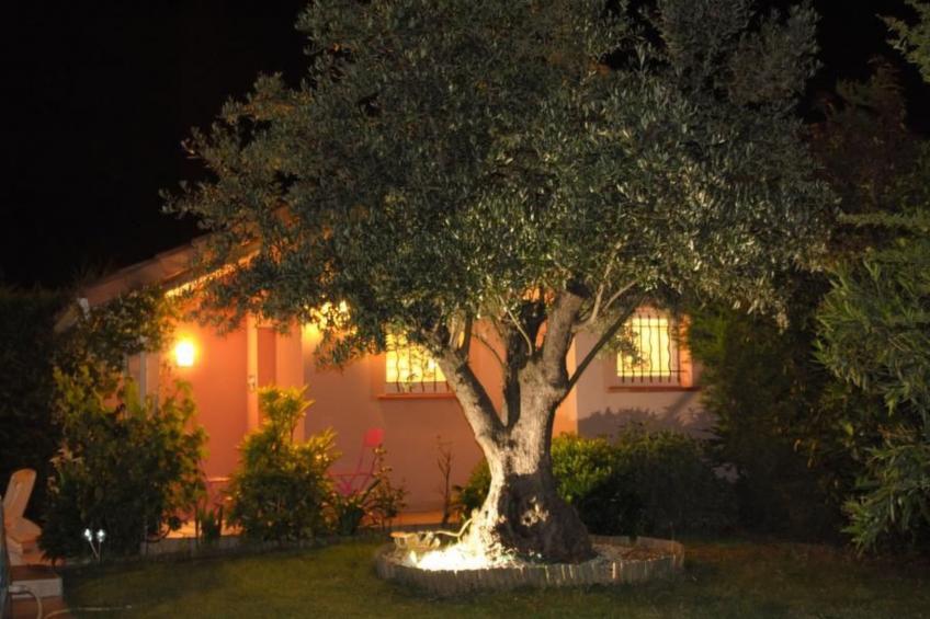 Haus "Les Cyprès" mit Gemeinschaftspool - foto 26