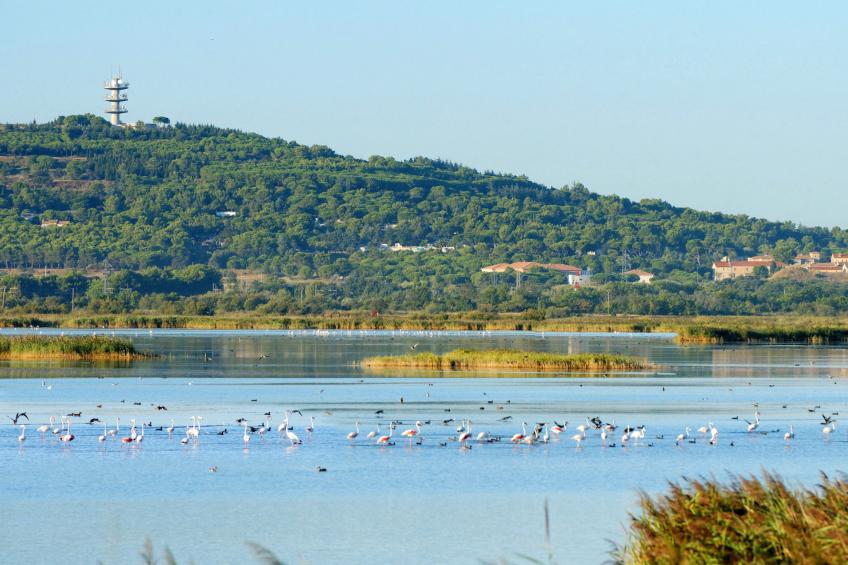 Le Lagon Bleu - foto 29