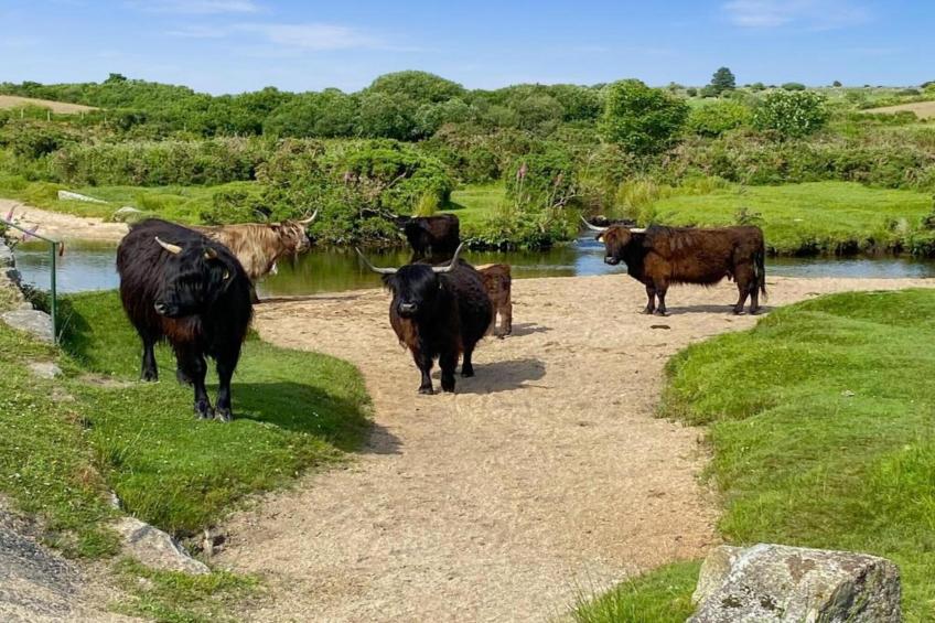 Jubilee Barn Cottage at Bodmin Moor - foto 25