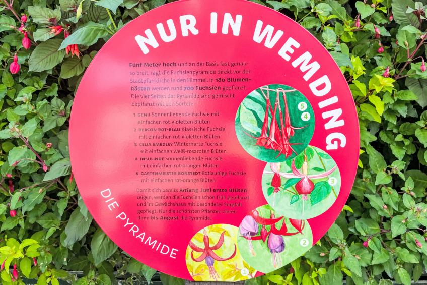 Tiny Haus Neschtle - foto 23