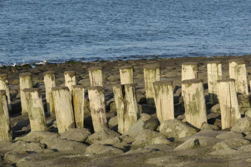 Studio - Zuidstraat 113 - foto 25