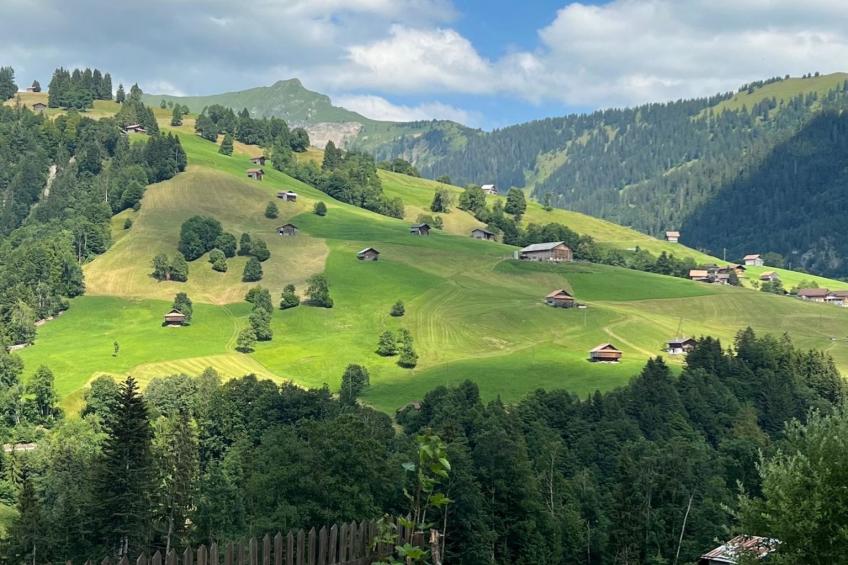 Engel Ingold Lodge Chalet Bärgblümli - foto 90