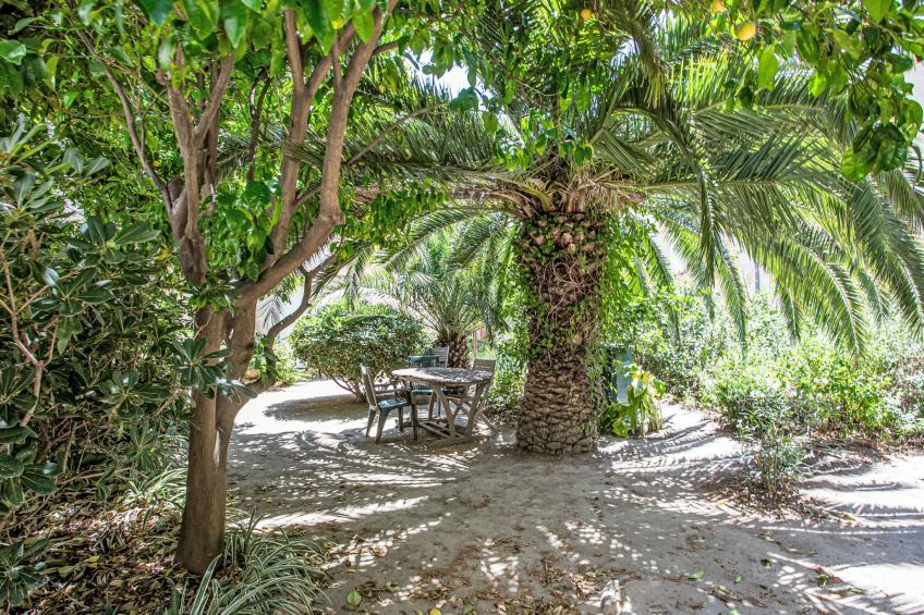 La petite Réal - foto 15