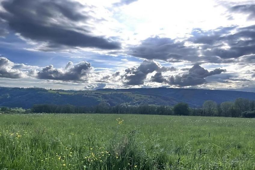 The Heart and Joy - foto 33