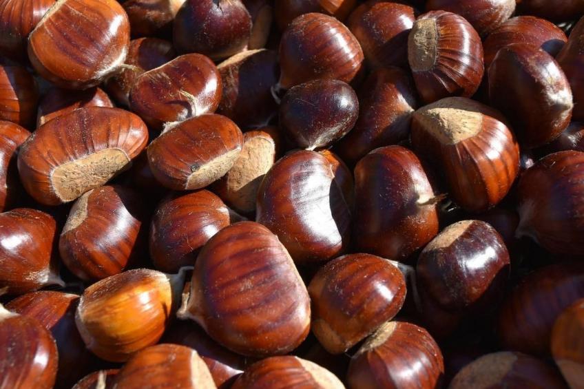 Haus Riga Rossa - foto 31