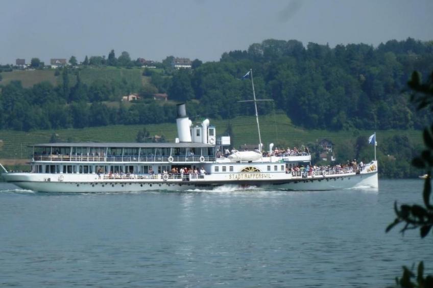 3-Zimmer Ferienwohnung Rapperswil am Zürichsee - foto 31