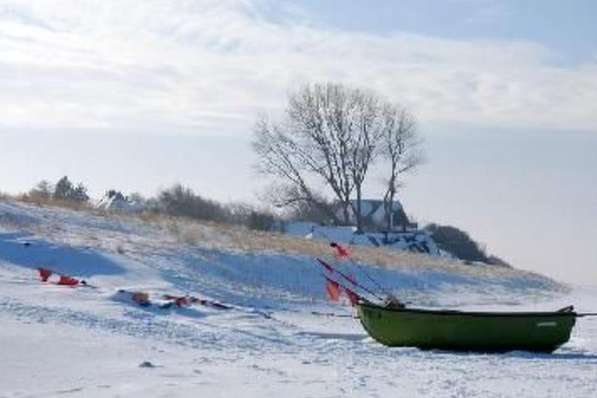 Morgensünn- Nette Wohnung in Althagen mit Terras - foto 15
