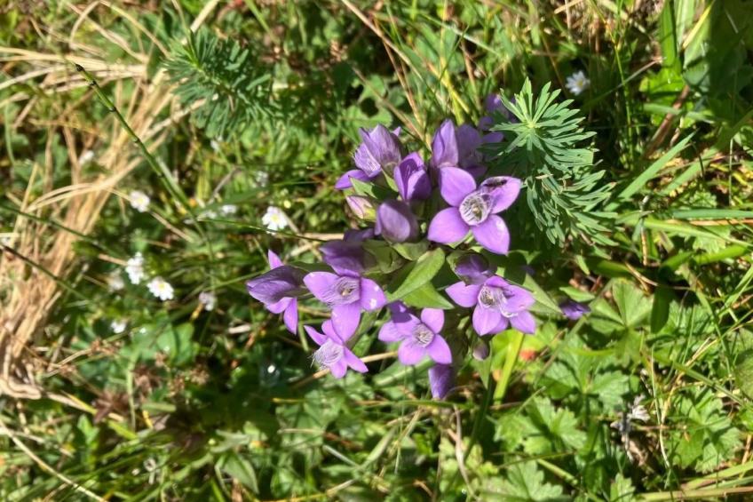 'Casa Casermetta - foto 30