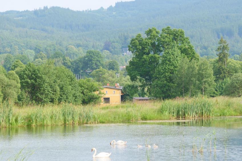 für eine große Familie oder eine Gruppe von Freunden - foto 21