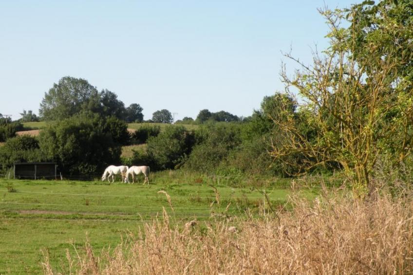 Hof Rodenkrog Fewo 1 - foto 37