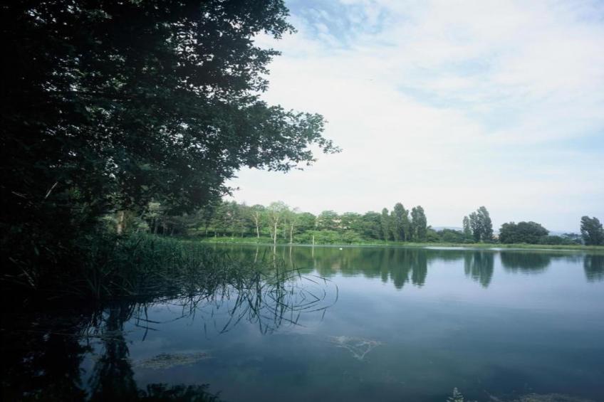 Mobil Home Luxe - foto 22