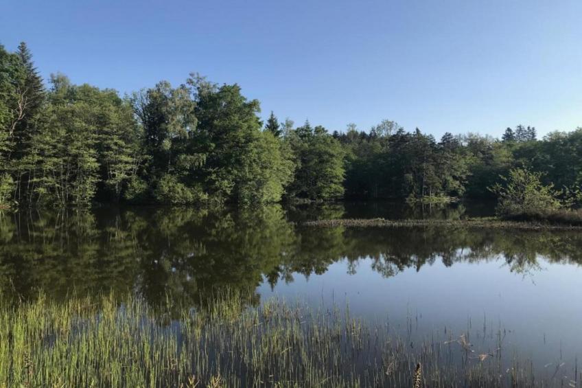 Maison de vacances - ESMOULIÈRES - foto 33