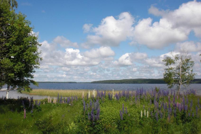 in Tibro mit Kleinem Garten - foto 30