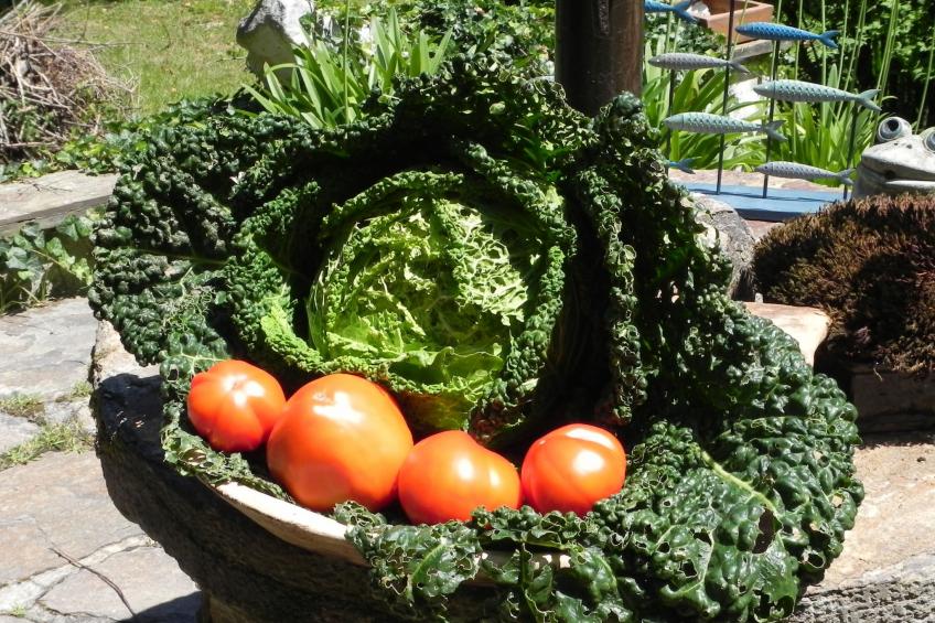 Himmelreichmühle in Sausal - foto 22