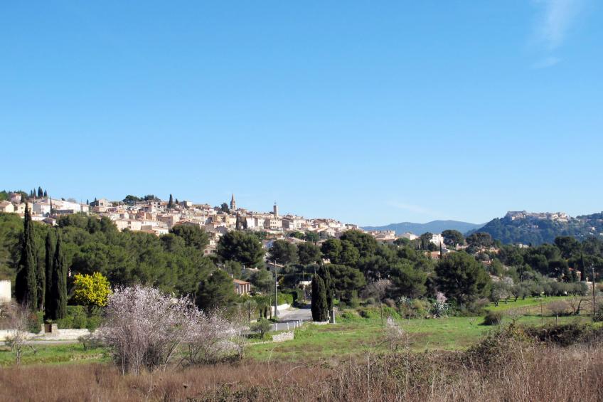 La Vue - foto 19