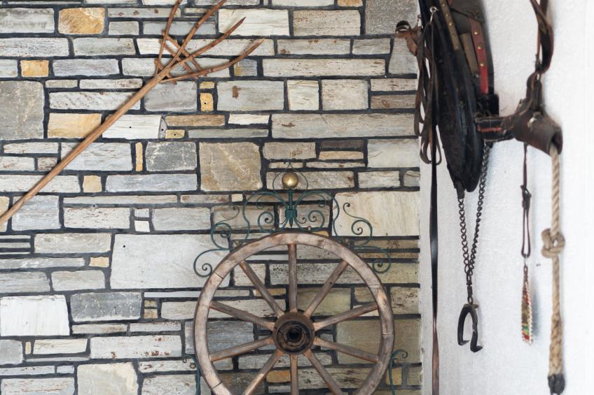 Schwarzenegg - foto 7