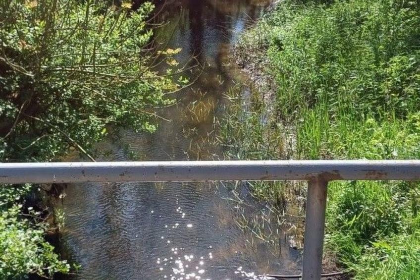 Möllis Ferienwohnung - foto 27