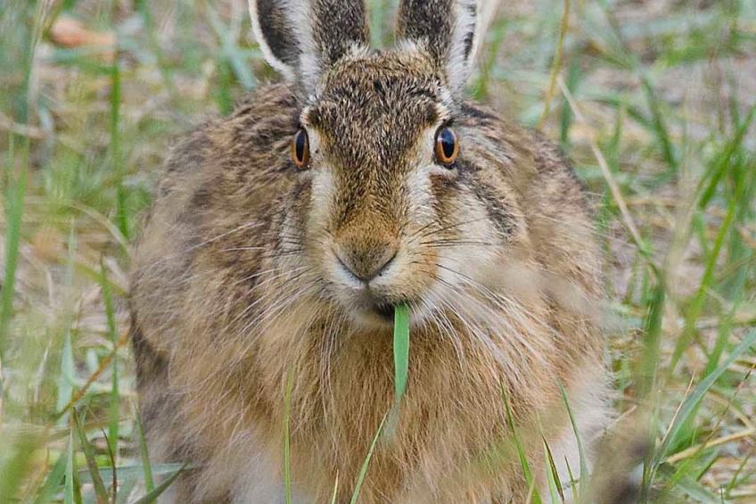 Skaerven Beachfront Wohnung C - foto 40