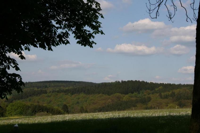 Alpaka-Farm - foto 31