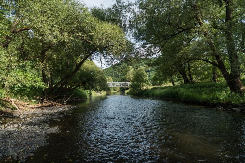 in Waldbreitbach mit Whirlpool - foto 27