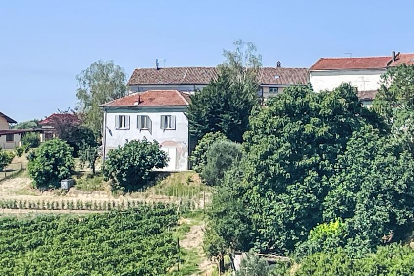 Guest House Viotti - foto 28