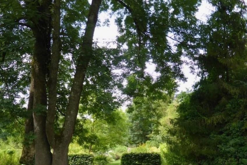 The Water Mill of Tourteron - foto 56