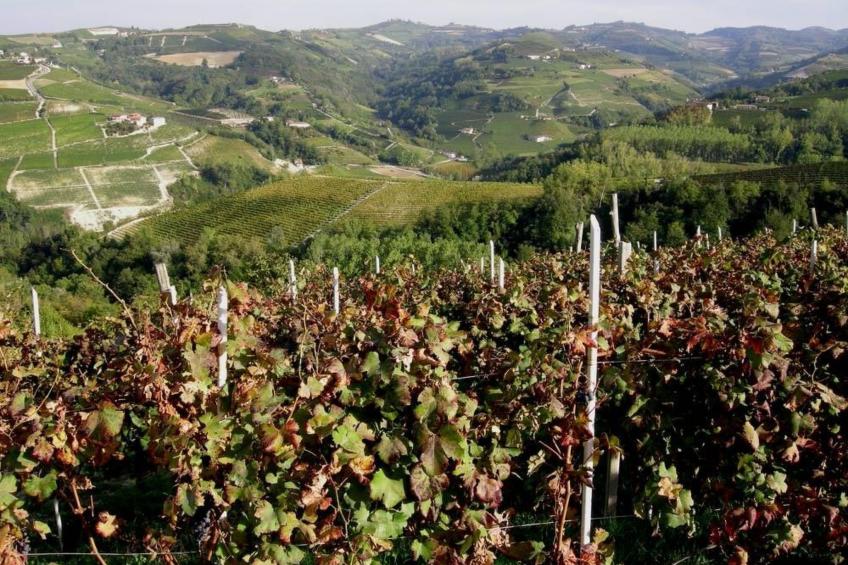 Superior' Anwesen mit Gemeinschaftspool - foto 27