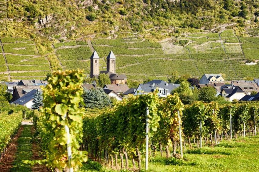 Weingut Hausmann - foto 32