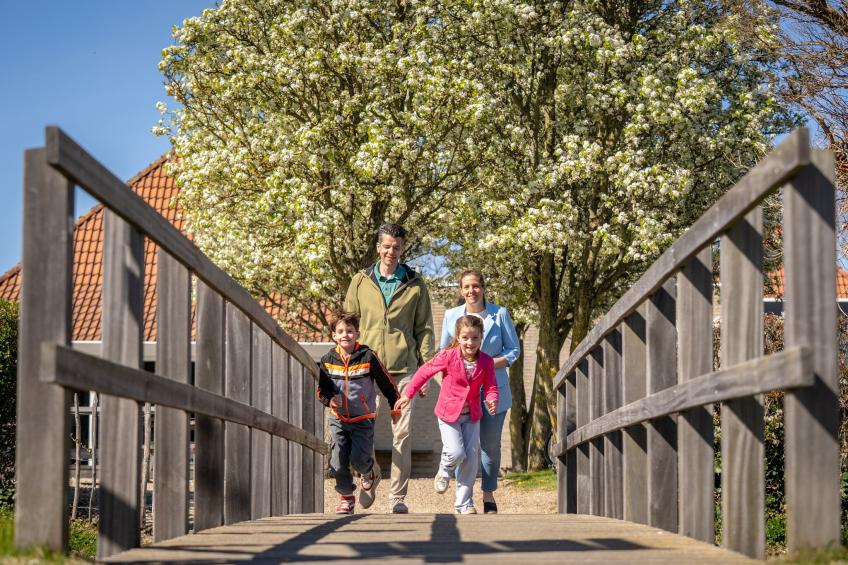 Vakantiepark de Soeten Haert 20 - foto 9