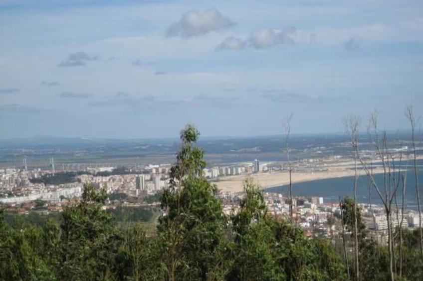 Beachhouse - foto 20