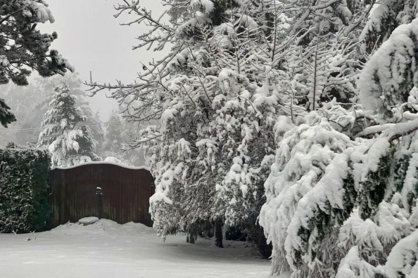 Ferienvilla mit Garten, Grill und Terrasse - foto 44