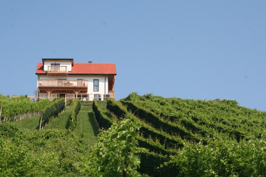 Rebenchalet - foto 29