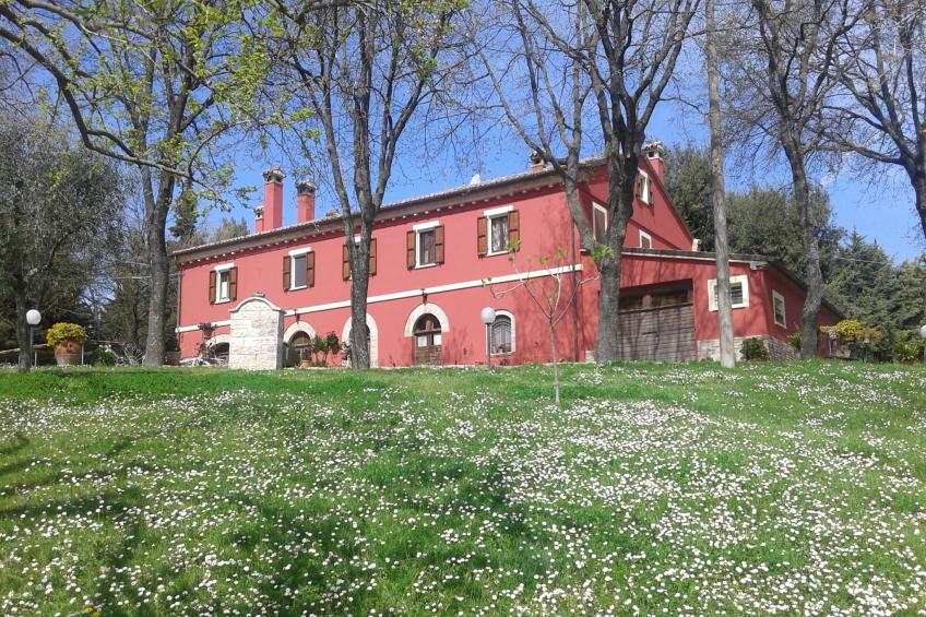 Lella - foto 19