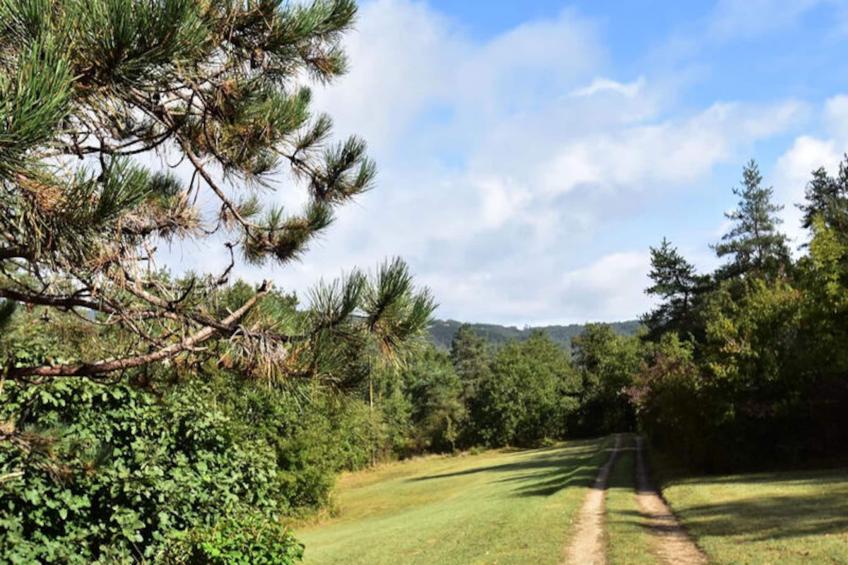 Maison à Peyzac le Moustier - foto 22