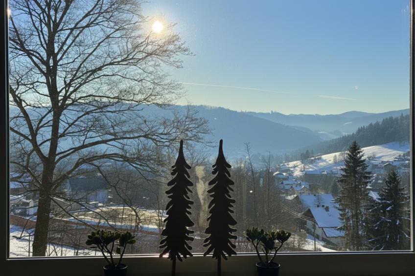 Forsthaus Heinrichsbach - foto 23