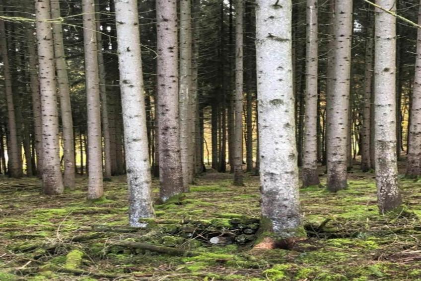 Village de Vacances Oignies 5 - foto 38