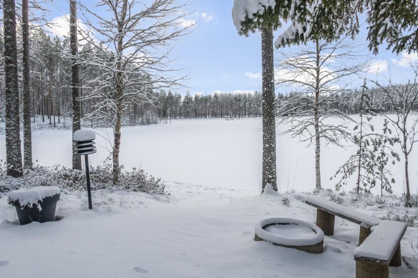 Välikosken karpalo - foto 11