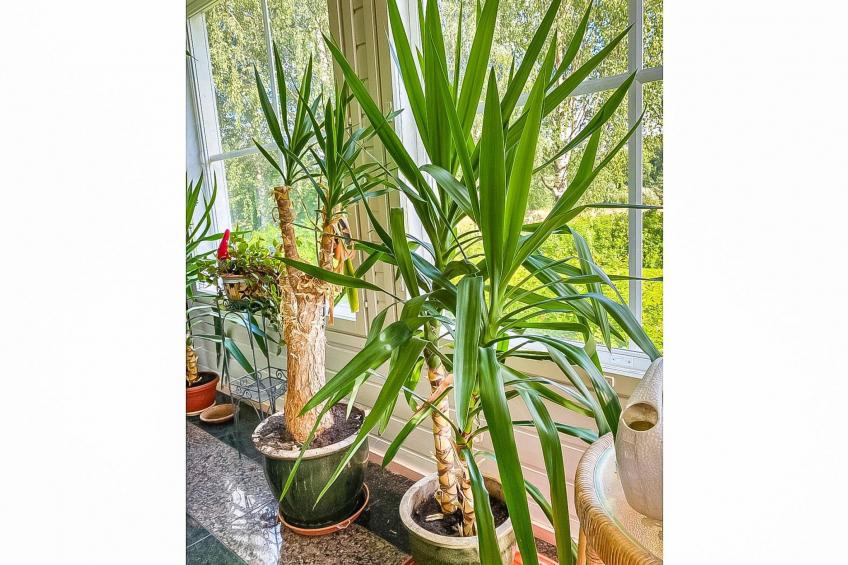 Grand villa kemijoki - foto 23