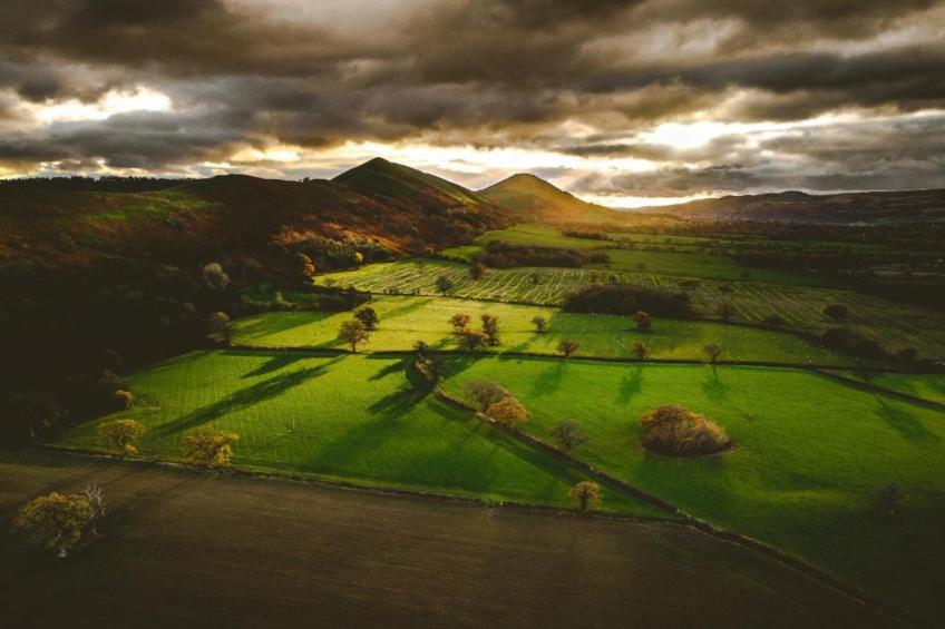 Netley Hall - Rose - foto 26