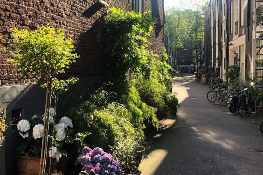 Studio Koggeschip Amsterdam Bb - foto 14