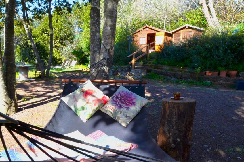 Sombra del Laurel - foto 42